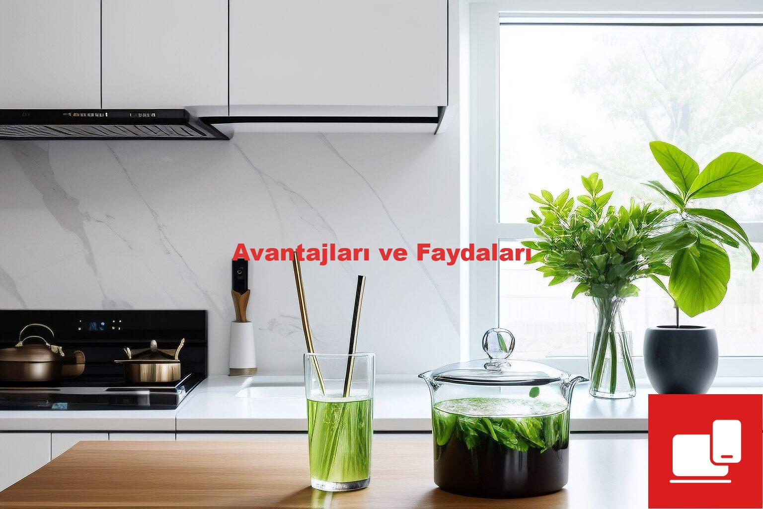 Avantajları ve Faydaları