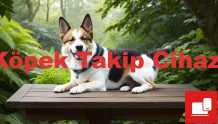 Köpek Takip Cihazı