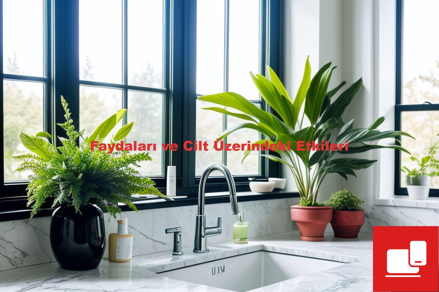 Faydaları ve Cilt Üzerindeki Etkileri