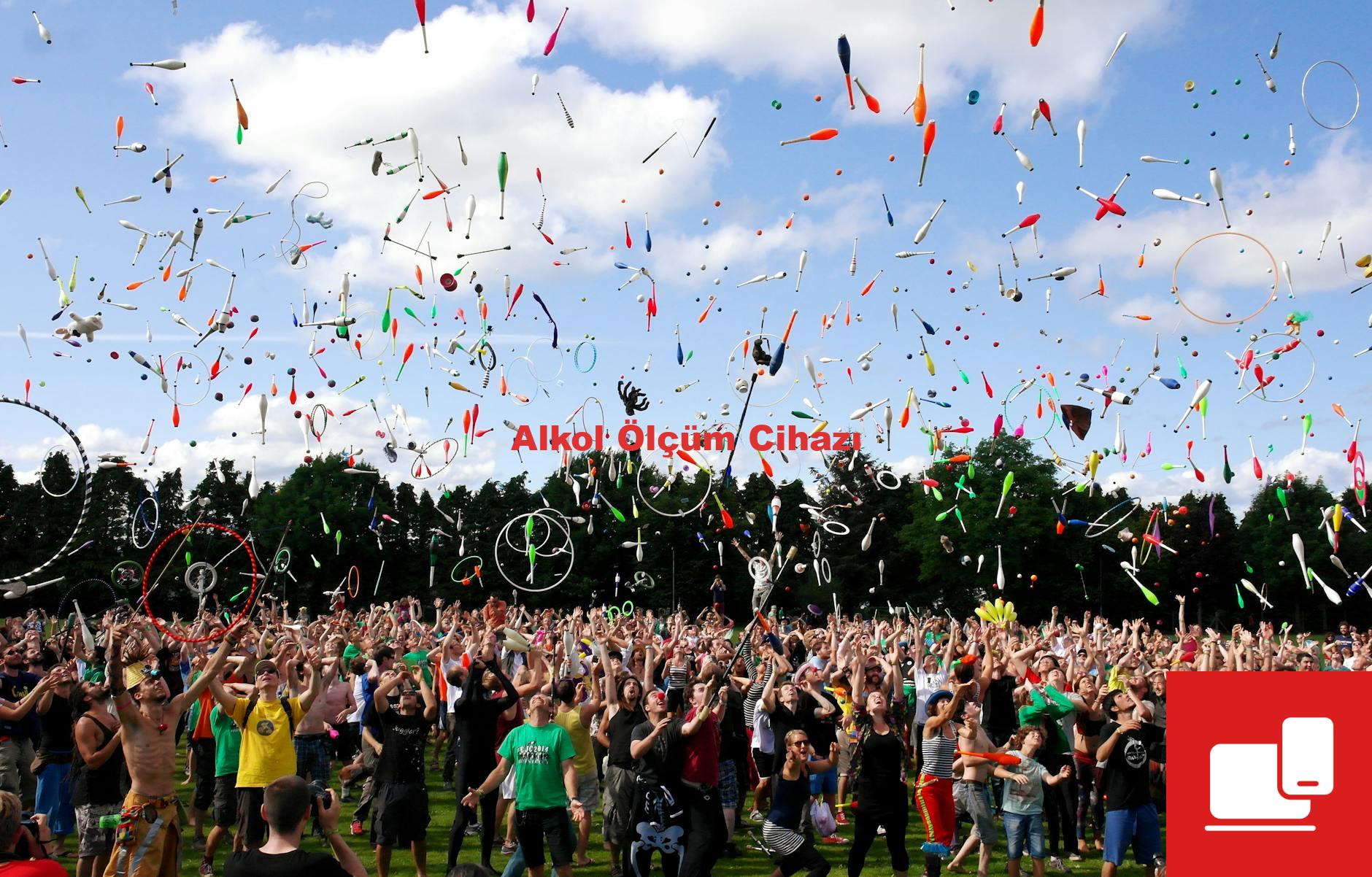 Alkol Ölçüm Cihazı