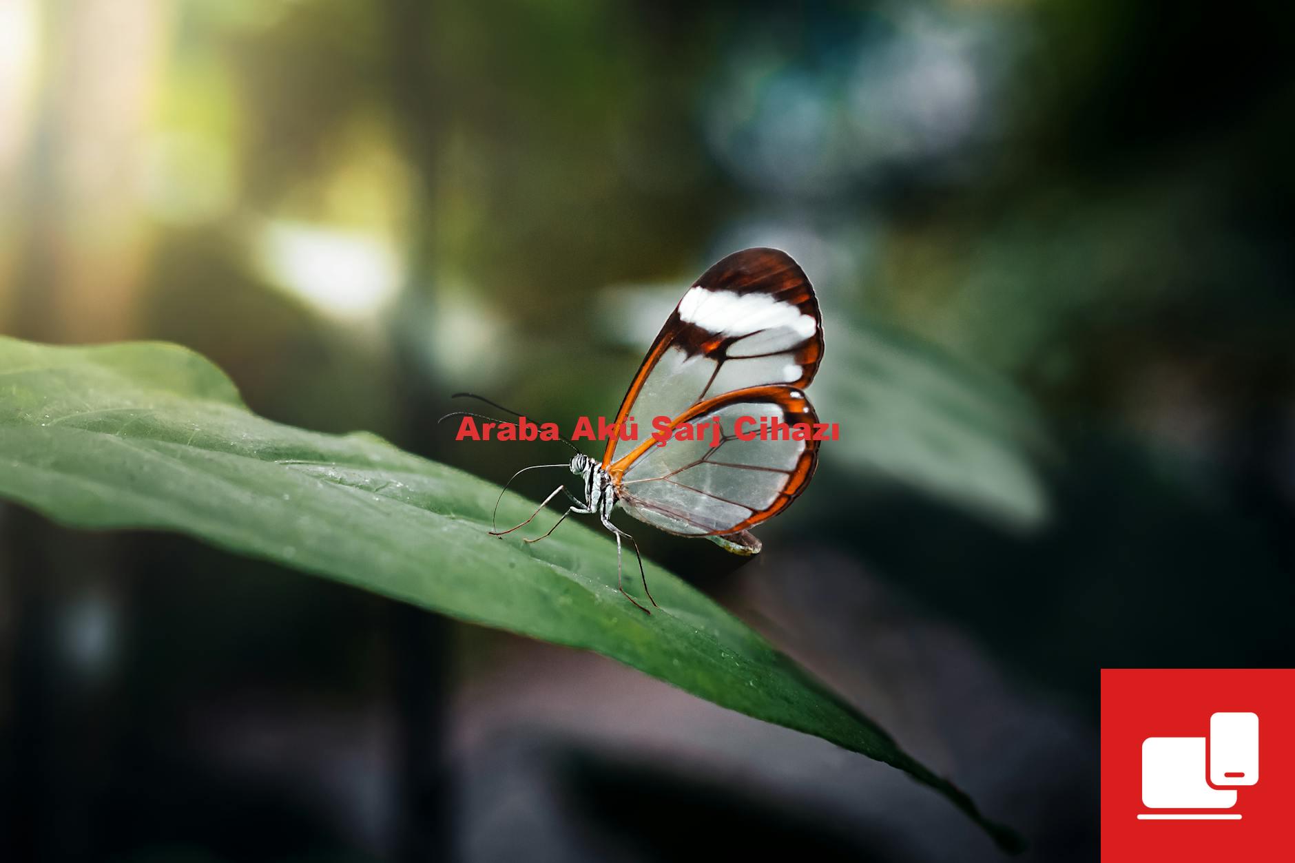 Araba Akü Şarj Cihazı