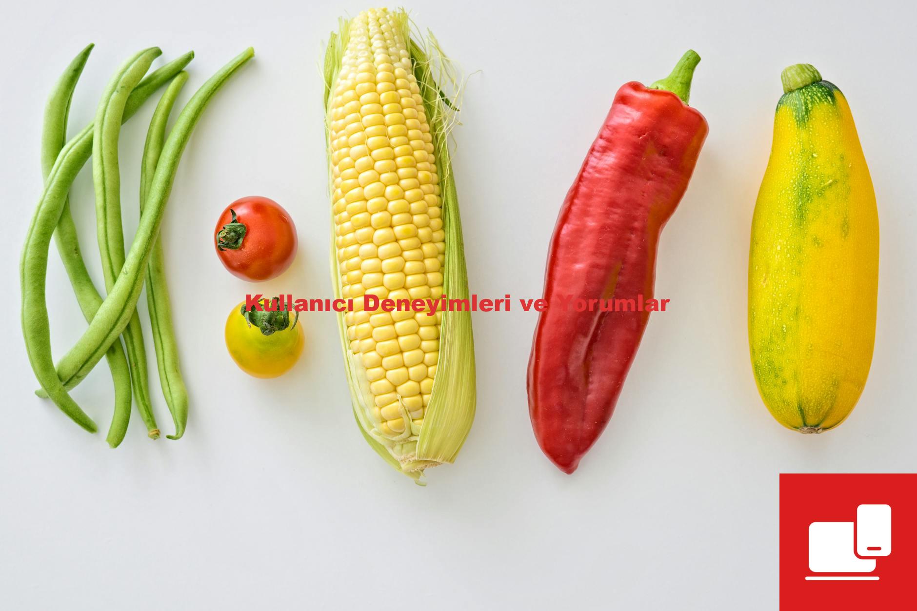 Kullanıcı Deneyimleri ve Yorumlar