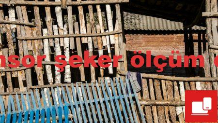 ebsensor şeker ölçüm cihazı