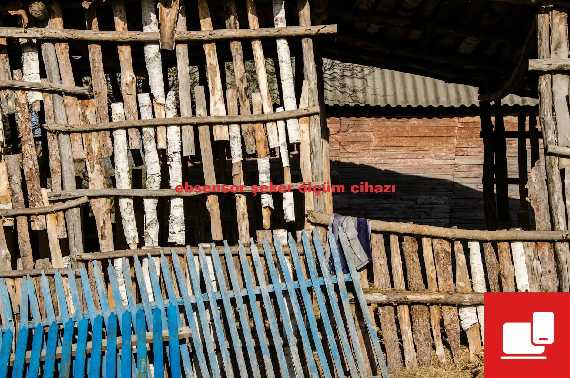 ebsensor şeker ölçüm cihazı