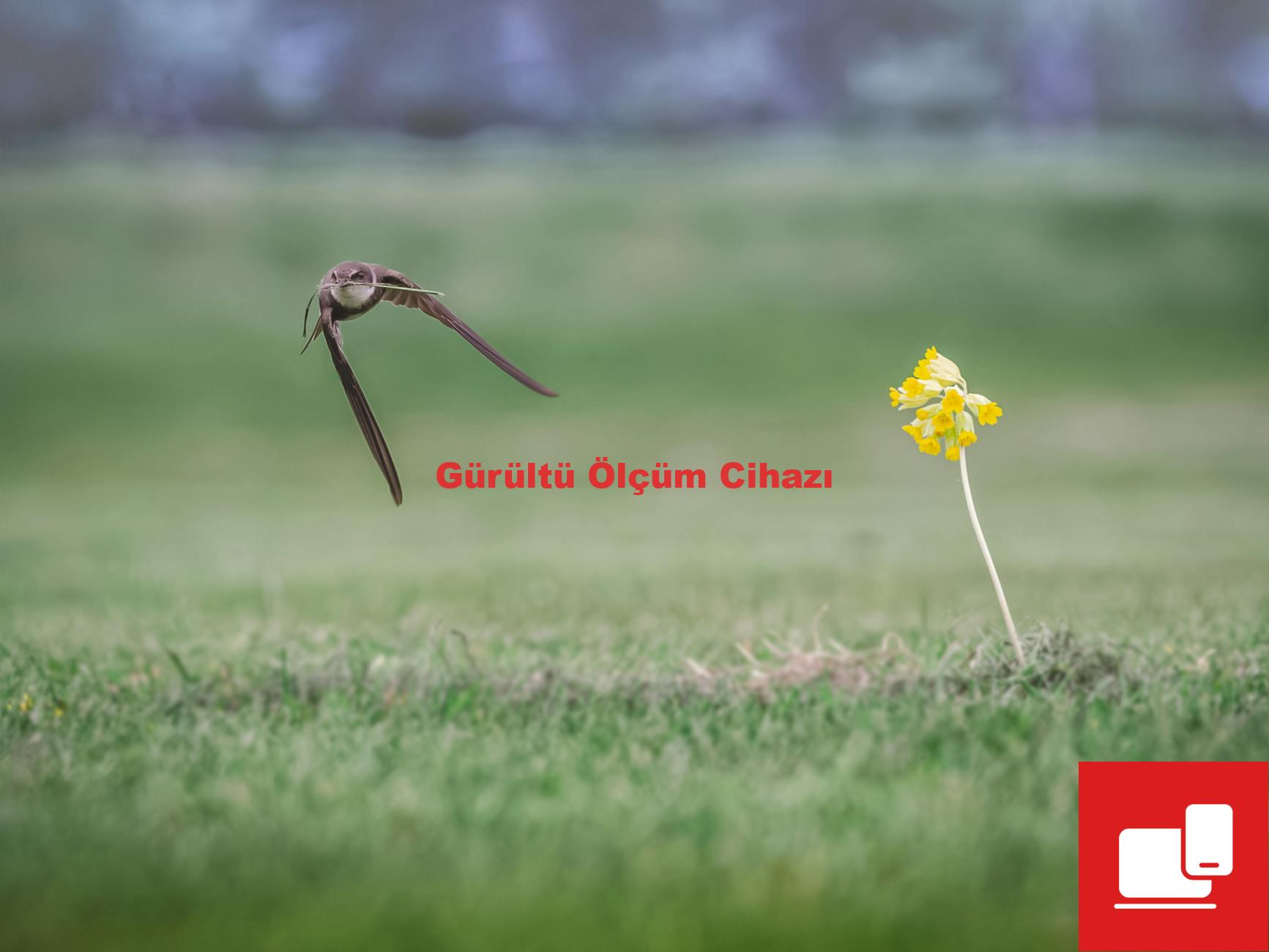 Gürültü Ölçüm Cihazı
