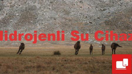 Hidrojenli Su Cihazı