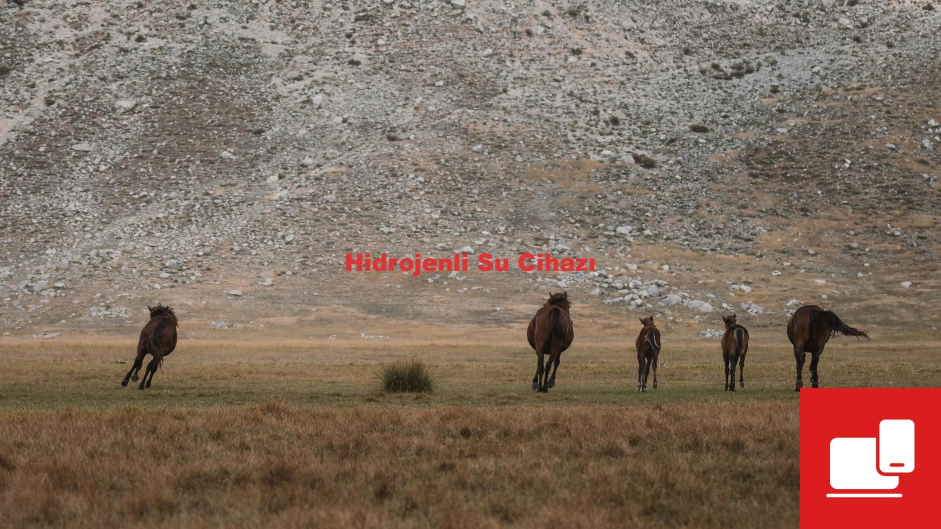 Hidrojenli Su Cihazı