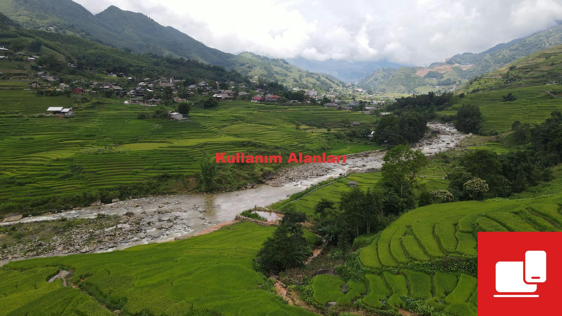 Kullanım Alanları