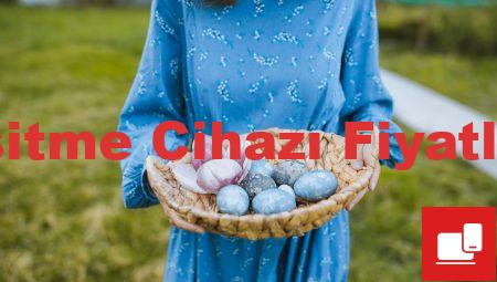 Kulak İşitme Cihazı Fiyatları 2021