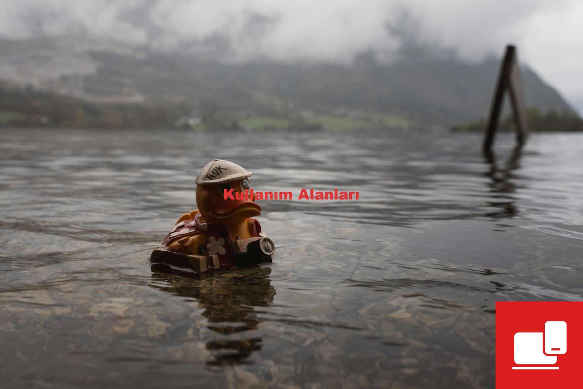 Kullanım Alanları