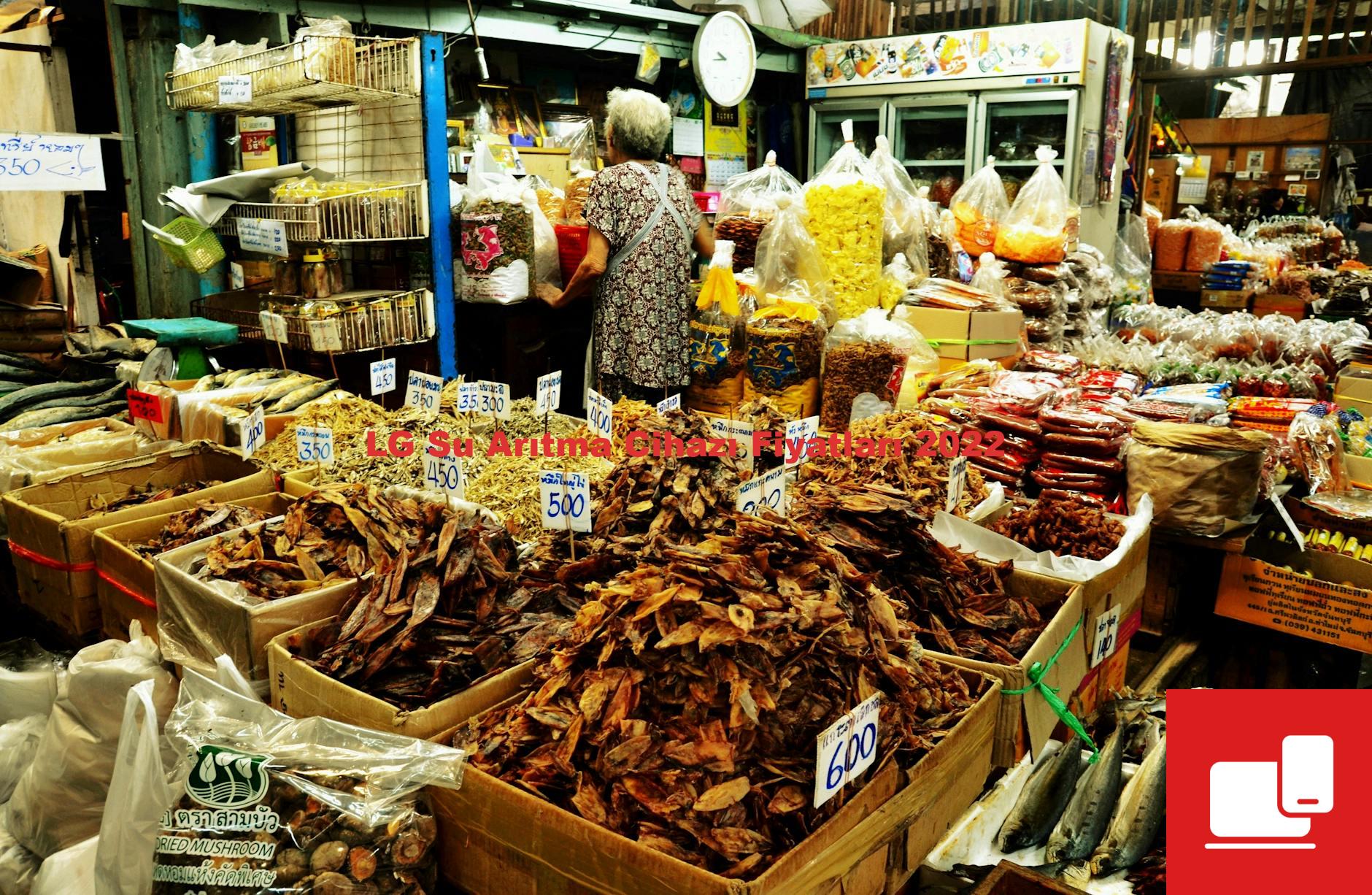 LG Su Arıtma Cihazı Fiyatları 2022