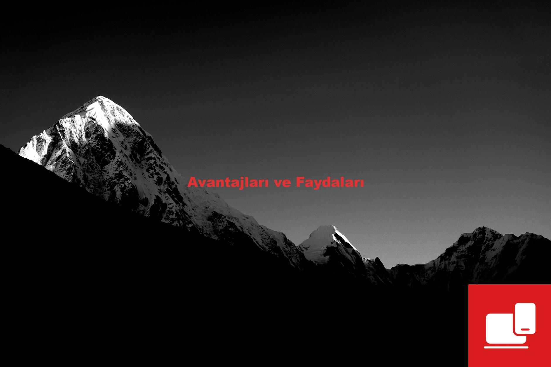 Avantajları ve Faydaları