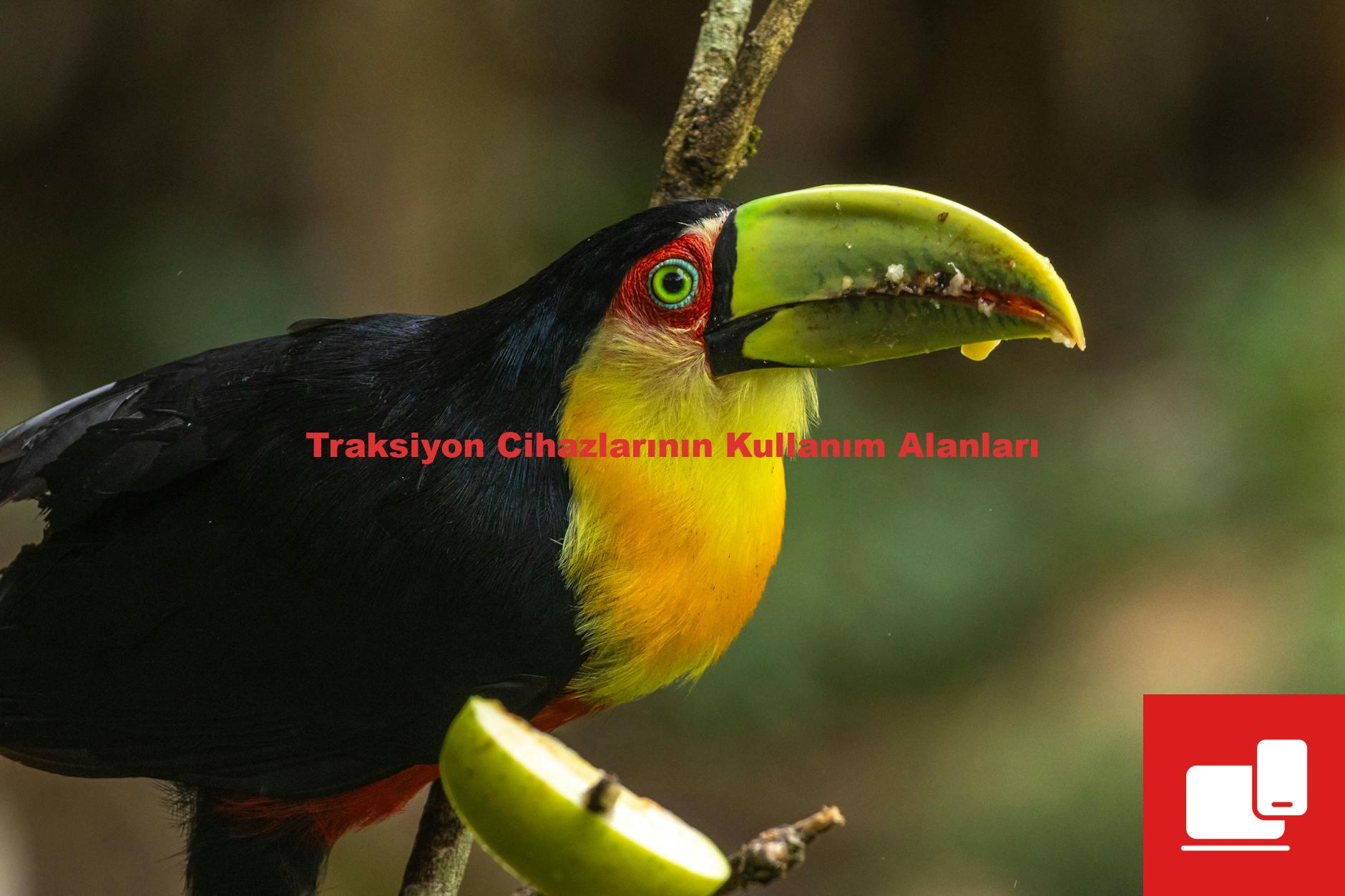 Traksiyon Cihazlarının Kullanım Alanları