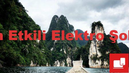 Uzaktan Etkili Elektro Şok Cihazı