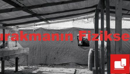 Sigarayı Bırakmanın Fiziksel Faydaları