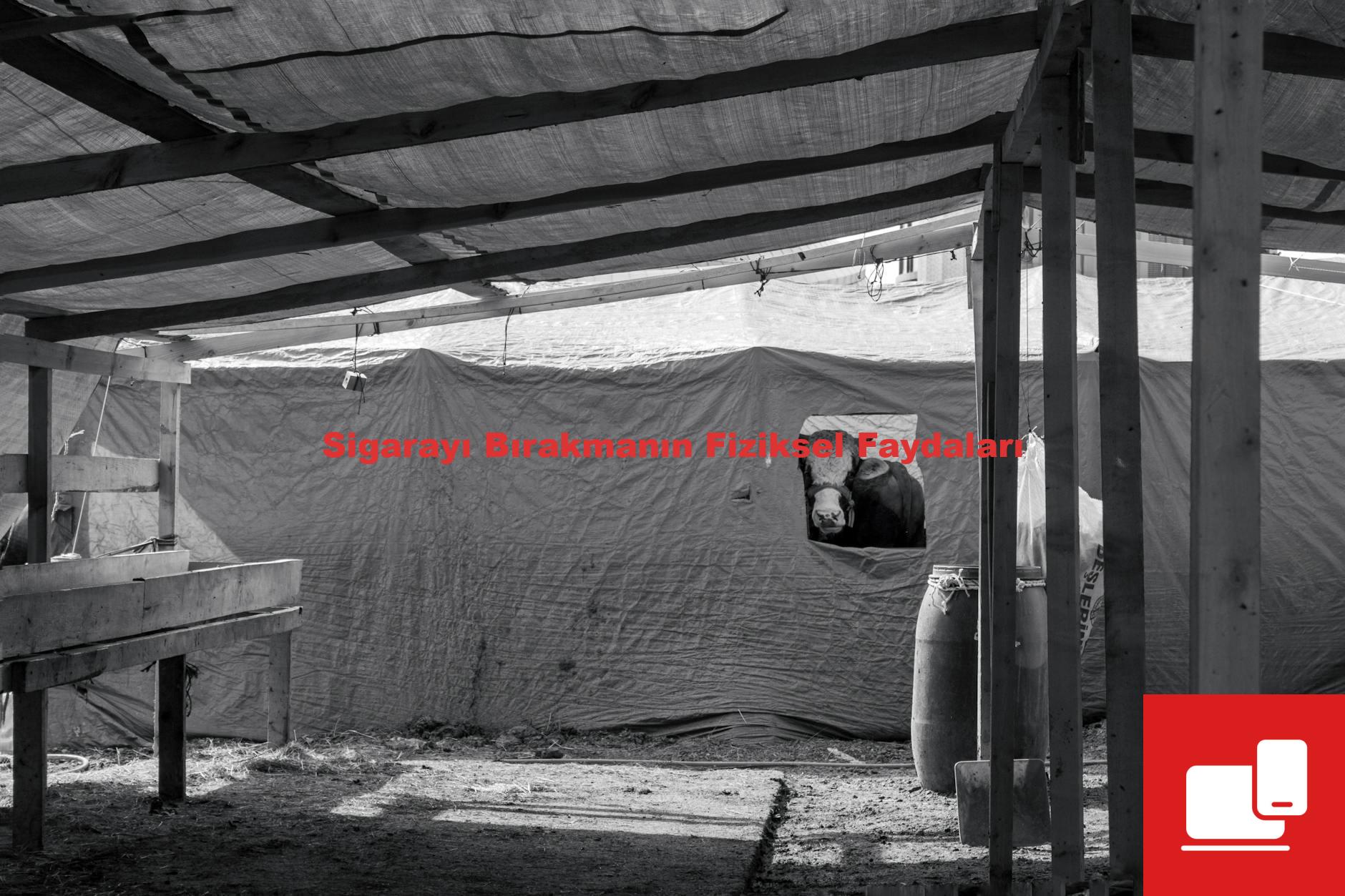 Sigarayı Bırakmanın Fiziksel Faydaları