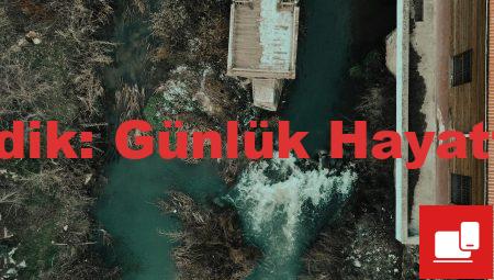 İngilizce Kursu Pendik: Günlük Hayatta Kullanım İpuçları