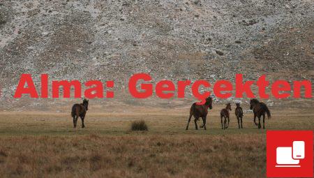 Takipçi Satın Alma: Gerçekten Değiyor mu?