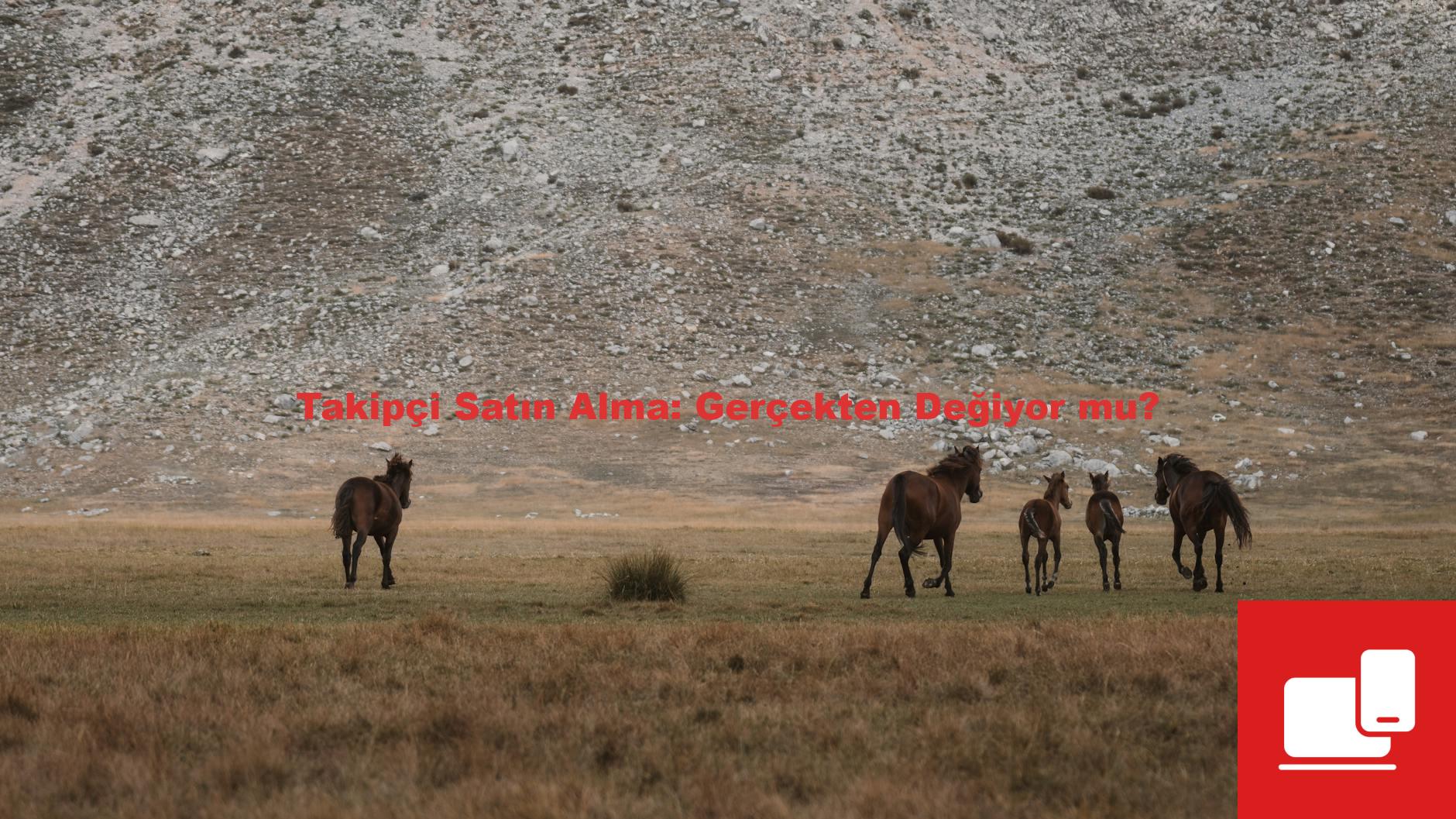 Takipçi Satın Alma: Gerçekten Değiyor mu?