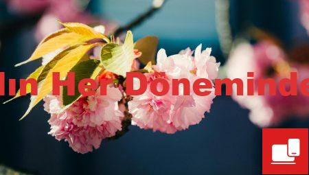 Almanca Aylar: Yılın Her Döneminde Kullanım Rehberi