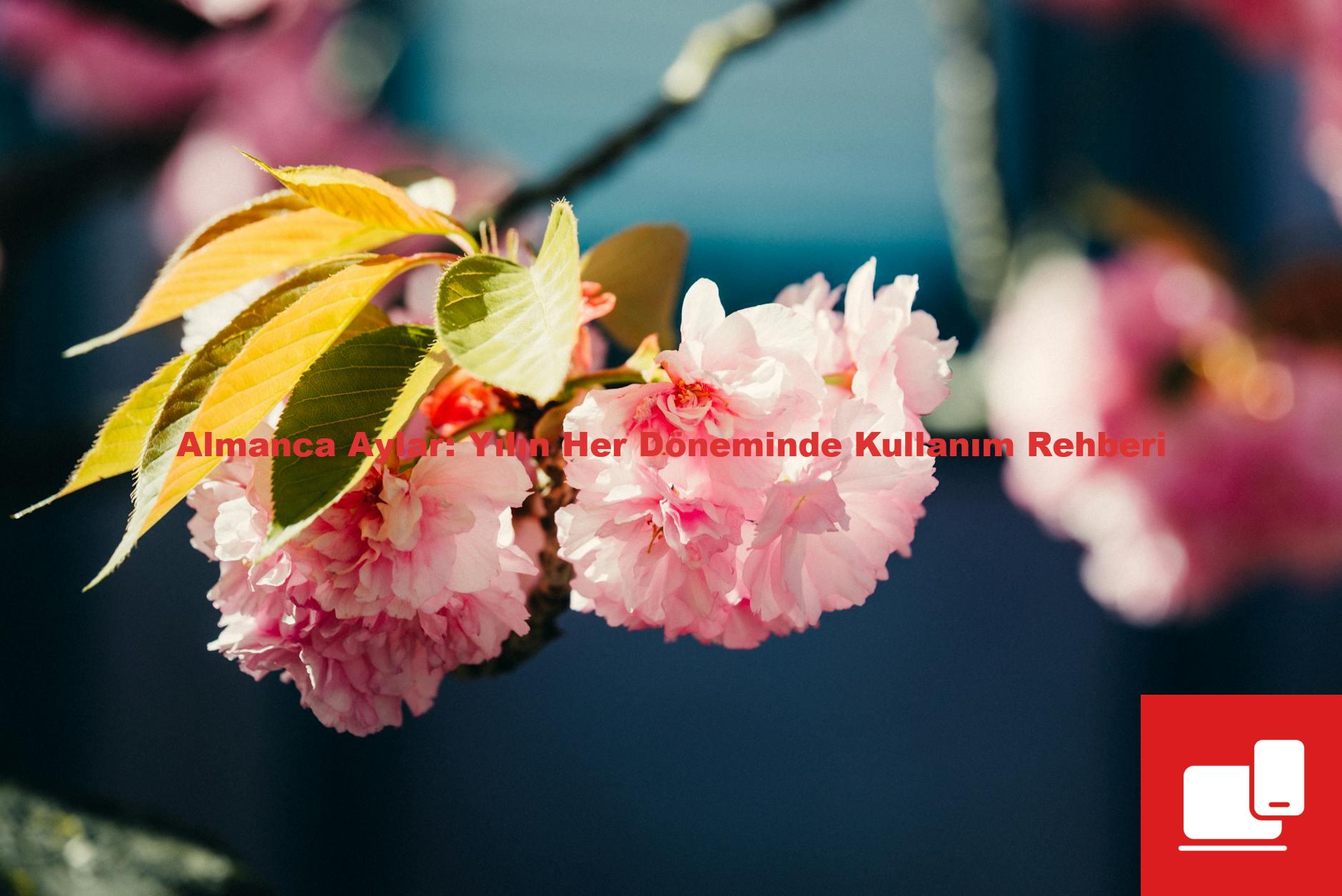 Almanca Aylar: Yılın Her Döneminde Kullanım Rehberi