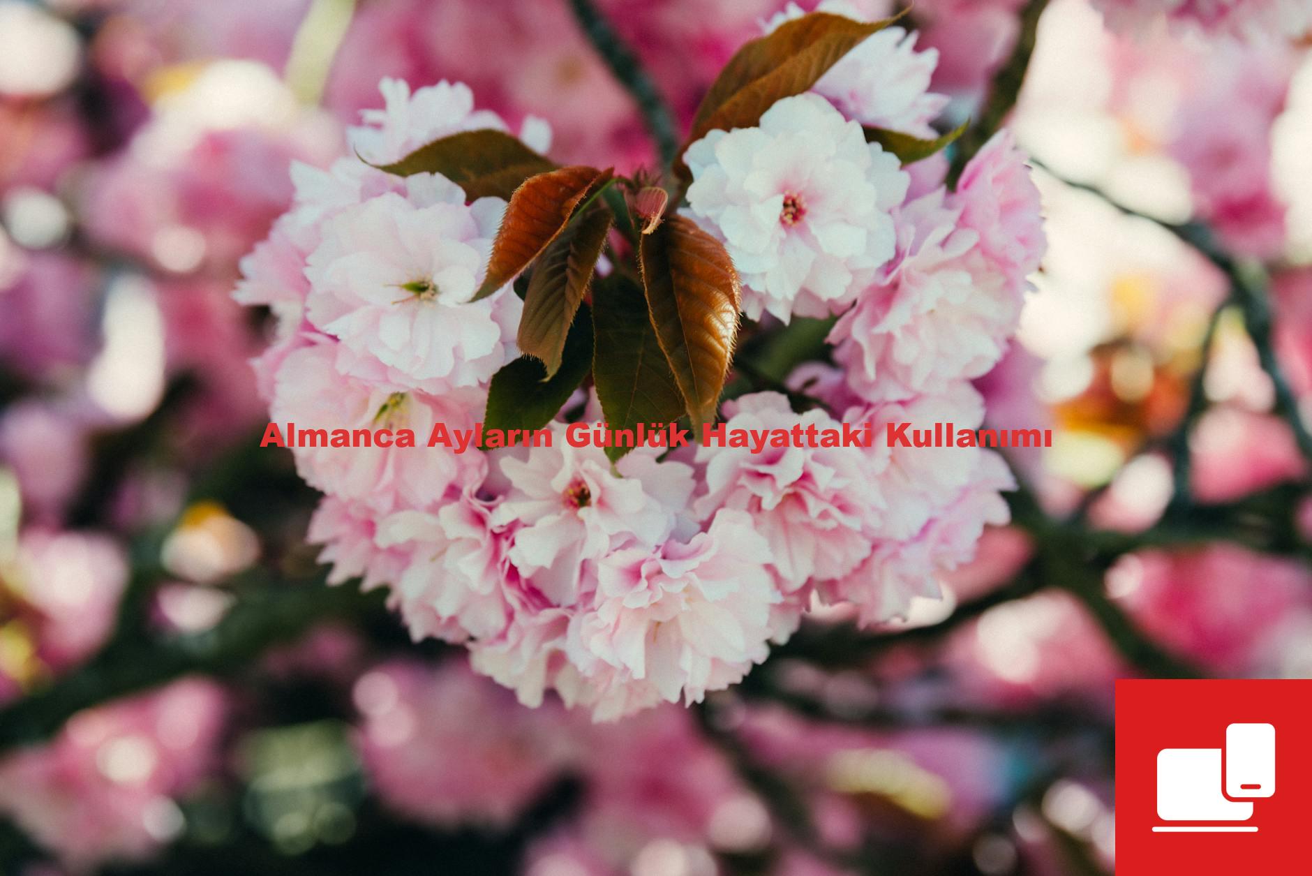 Almanca Ayların Günlük Hayattaki Kullanımı