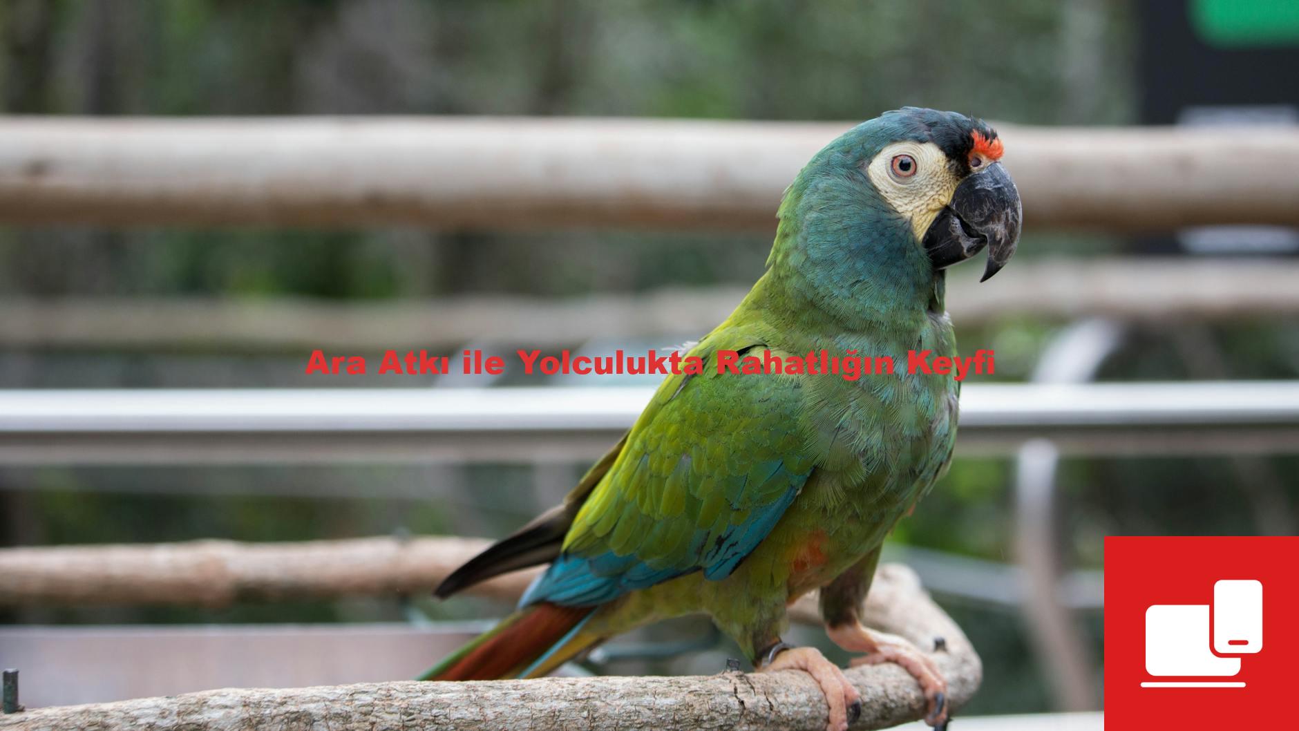 Ara Atkı ile Yolculukta Rahatlığın Keyfi
