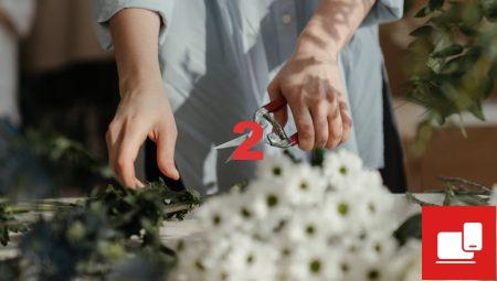 Aksaray Çiçekçi Rehberi: En İyi Adresler