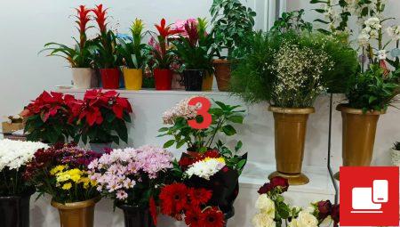 Floksia.com ile Çiçek Gönderiminde Sürprizler